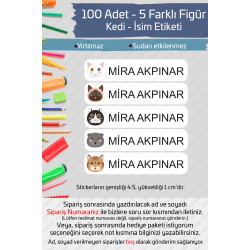100 Adet Kedi İsme Özel Okul Etiketi Kalem Defter Özel İsim Yazılabilen Sticker P1
