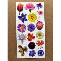 100 Adet Renkli Çiçek Sticker Seti Ajanda Planner Bullet Journal Sanat Flower Etiket Çıkartma 100 Adet Renkli Çiçek Sticker Seti Ajanda Planner Bullet Journal Sanat Flower Etiket Çıkartma