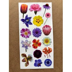 100 Adet Renkli Çiçek Sticker Seti Ajanda Planner Bullet Journal Sanat Flower Etiket Çıkartma