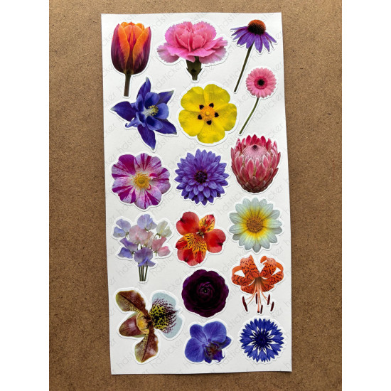 100 Adet Renkli Çiçek Sticker Seti Ajanda Planner Bullet Journal Sanat Flower Etiket Çıkartma 100 Adet Renkli Çiçek Sticker Seti Ajanda Planner Bullet Journal Sanat Flower Etiket Çıkartma