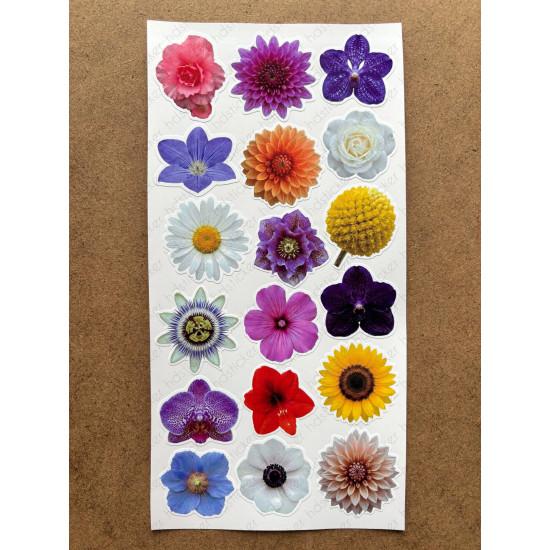 100 Adet Renkli Çiçek Sticker Seti Ajanda Planner Bullet Journal Sanat Flower Etiket Çıkartma 100 Adet Renkli Çiçek Sticker Seti Ajanda Planner Bullet Journal Sanat Flower Etiket Çıkartma