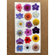 100 Adet Renkli Çiçek Sticker Seti Ajanda Planner Bullet Journal Sanat Flower Etiket Çıkartma 100 Adet Renkli Çiçek Sticker Seti Ajanda Planner Bullet Journal Sanat Flower Etiket Çıkartma