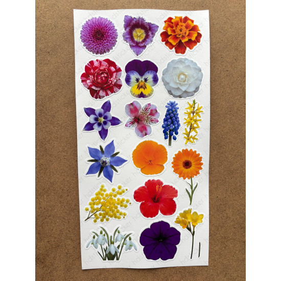 100 Adet Renkli Çiçek Sticker Seti Ajanda Planner Bullet Journal Sanat Flower Etiket Çıkartma 100 Adet Renkli Çiçek Sticker Seti Ajanda Planner Bullet Journal Sanat Flower Etiket Çıkartma
