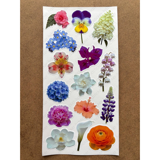 100 Adet Renkli Çiçek Sticker Seti Ajanda Planner Bullet Journal Sanat Flower Etiket Çıkartma 100 Adet Renkli Çiçek Sticker Seti Ajanda Planner Bullet Journal Sanat Flower Etiket Çıkartma