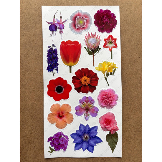 100 Adet Renkli Çiçek Sticker Seti Ajanda Planner Bullet Journal Sanat Flower Etiket Çıkartma 100 Adet Renkli Çiçek Sticker Seti Ajanda Planner Bullet Journal Sanat Flower Etiket Çıkartma