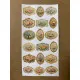 101 Adet Vintage Çiçek Temalı Sticker Seti Planner Ajanda Art Laptop Telefon Bullet Journal Etiket 101 Adet Vintage Çiçek Temalı Sticker Seti Planner Ajanda Art Laptop Telefon Bullet Journal Etiket