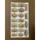 101 Adet Vintage Çiçek Temalı Sticker Seti Planner Ajanda Art Laptop Telefon Bullet Journal Etiket 101 Adet Vintage Çiçek Temalı Sticker Seti Planner Ajanda Art Laptop Telefon Bullet Journal Etiket