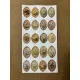 101 Adet Vintage Çiçek Temalı Sticker Seti Planner Ajanda Art Laptop Telefon Bullet Journal Etiket 101 Adet Vintage Çiçek Temalı Sticker Seti Planner Ajanda Art Laptop Telefon Bullet Journal Etiket