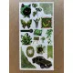 103 Adet Yeşil Temalı Sticker Seti Ajanda Planner Bullet Journal Sanat Art Green Etiket Çıkartma 103 Adet Yeşil Temalı Sticker Seti Ajanda Planner Bullet Journal Sanat Art Green Etiket Çıkartma