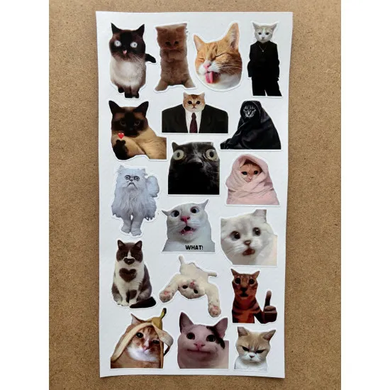 110 Adet Komik Kedi Temalı Sticker Seti Planner, Ajanda, Laptop Uyumlu Eğlenceli Kediler Mini Etiket 110 Adet Komik Kedi Temalı Sticker Seti Planner, Ajanda, Laptop Uyumlu Eğlenceli Kediler Mini Etiket