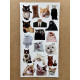 110 Adet Komik Kedi Temalı Sticker Seti Planner, Ajanda, Laptop Uyumlu Eğlenceli Kediler Mini Etiket 110 Adet Komik Kedi Temalı Sticker Seti Planner, Ajanda, Laptop Uyumlu Eğlenceli Kediler Mini Etiket