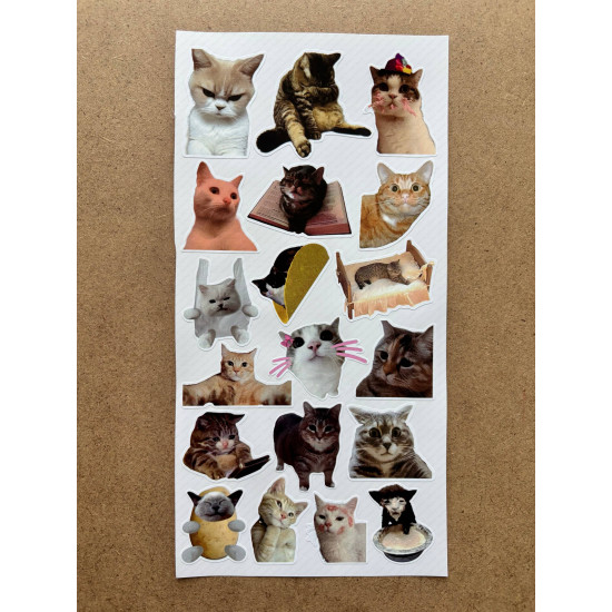 110 Adet Komik Kedi Temalı Sticker Seti Planner, Ajanda, Laptop Uyumlu Eğlenceli Kediler Mini Etiket 110 Adet Komik Kedi Temalı Sticker Seti Planner, Ajanda, Laptop Uyumlu Eğlenceli Kediler Mini Etiket