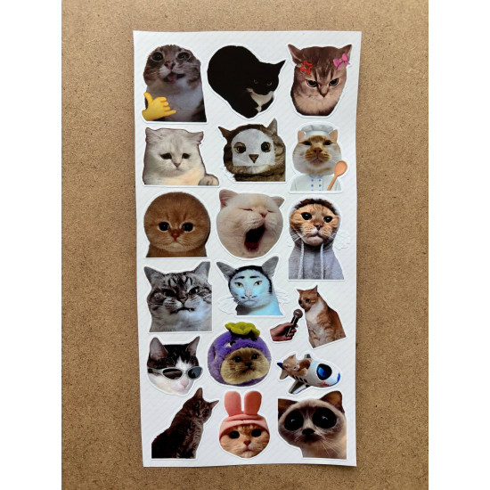 110 Adet Komik Kedi Temalı Sticker Seti Planner, Ajanda, Laptop Uyumlu Eğlenceli Kediler Mini Etiket 110 Adet Komik Kedi Temalı Sticker Seti Planner, Ajanda, Laptop Uyumlu Eğlenceli Kediler Mini Etiket