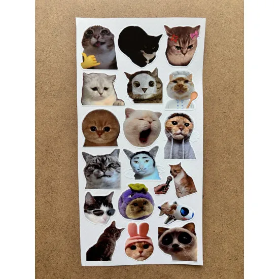 110 Adet Komik Kedi Temalı Sticker Seti Planner, Ajanda, Laptop Uyumlu Eğlenceli Kediler Mini Etiket 110 Adet Komik Kedi Temalı Sticker Seti Planner, Ajanda, Laptop Uyumlu Eğlenceli Kediler Mini Etiket