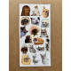 110 Adet Komik Kedi Temalı Sticker Seti Planner, Ajanda, Laptop Uyumlu Eğlenceli Kediler Mini Etiket 110 Adet Komik Kedi Temalı Sticker Seti Planner, Ajanda, Laptop Uyumlu Eğlenceli Kediler Mini Etiket