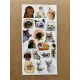 110 Adet Komik Kedi Temalı Sticker Seti Planner, Ajanda, Laptop Uyumlu Eğlenceli Kediler Mini Etiket 110 Adet Komik Kedi Temalı Sticker Seti Planner, Ajanda, Laptop Uyumlu Eğlenceli Kediler Mini Etiket