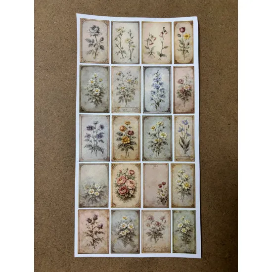 110 Adet Vintage Çiçek Temalı Sticker Seti Planner Ajanda Art Laptop Telefon Bullet Journal Etiket 110 Adet Vintage Çiçek Temalı Sticker Seti Planner Ajanda Art Laptop Telefon Bullet Journal Etiket