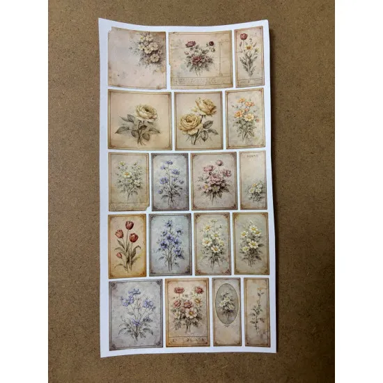 110 Adet Vintage Çiçek Temalı Sticker Seti Planner Ajanda Art Laptop Telefon Bullet Journal Etiket 110 Adet Vintage Çiçek Temalı Sticker Seti Planner Ajanda Art Laptop Telefon Bullet Journal Etiket