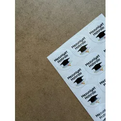 133 Adet Mezuniyet Hatırası Yapışkanlı Sticker Karne Öğretmen Etiketi Okul Hediye Tören Çıkartma