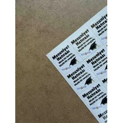 133 Adet Mezuniyet Hatırası Yapışkanlı Sticker Karne Öğretmen Etiketi Okul Hediye Veda Çıkartması