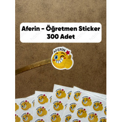 300 Adet Öğretmen Sticker Seti - Ödev Kontrol, Öğrenci Ödül, Aferin Bravo Motivasyon Etiketleri P7