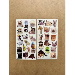 35 Adet Komik Kedi Temalı Sticker Seti Planner, Ajanda, Laptop Uyumlu Kediler Mini Etiket