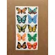60 Adet Kelebek Sticker Seti - Defter, Duvar, Laptop, Telefon, Ayna, Cam Çocuk Kitap Dekor Etiket P2 60 Adet Kelebek Sticker Seti - Defter, Duvar, Laptop, Telefon, Ayna, Cam Çocuk Kitap Dekor Etiket P2