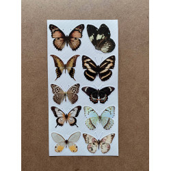 61 Adet Vintage Kelebek Sticker Seti - Defter, Duvar, Laptop, Ayna, Cam Çocuk Kitap Dekor Etiket P4