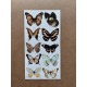61 Adet Vintage Kelebek Sticker Seti - Defter, Duvar, Laptop, Ayna, Cam Çocuk Kitap Dekor Etiket P4 61 Adet Vintage Kelebek Sticker Seti - Defter, Duvar, Laptop, Ayna, Cam Çocuk Kitap Dekor Etiket P4