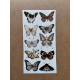 61 Adet Vintage Kelebek Sticker Seti - Defter, Duvar, Laptop, Ayna, Cam Çocuk Kitap Dekor Etiket P4 61 Adet Vintage Kelebek Sticker Seti - Defter, Duvar, Laptop, Ayna, Cam Çocuk Kitap Dekor Etiket P4