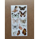 61 Adet Vintage Kelebek Sticker Seti - Defter, Duvar, Laptop, Ayna, Cam Çocuk Kitap Dekor Etiket P4 61 Adet Vintage Kelebek Sticker Seti - Defter, Duvar, Laptop, Ayna, Cam Çocuk Kitap Dekor Etiket P4