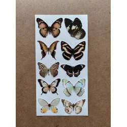61 Adet Vintage Kelebek Sticker Seti - Defter, Duvar, Laptop, Ayna, Cam Çocuk Kitap Dekor Etiket P4