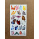 69 Adet Kelebek Sticker Seti - Defter, Duvar, Laptop, Telefon, Ayna, Cam Çocuk Kitap Dekor Etiket P3 69 Adet Kelebek Sticker Seti - Defter, Duvar, Laptop, Telefon, Ayna, Cam Çocuk Kitap Dekor Etiket P3