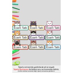 İsme Özel Okul Etiketi Kalem Defter Etiketi Özel İsim Yazılabilen Sticker Etiket 135 Adet P27