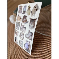 Kedi Premium 3D Görünümlü Göz Alıcı Parlak Kabartmalı Sticker Seti - Telefon Kılıfı Süsü, Etiket P1 Kedi Premium 3D Görünümlü Göz Alıcı Parlak Kabartmalı Sticker Seti - Telefon Kılıfı Süsü, Etiket P1