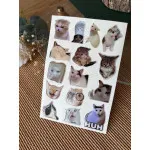 Kedi Premium 3D Görünümlü Göz Alıcı Parlak Kabartmalı Sticker Seti - Telefon Kılıfı Süsü, Etiket P1
