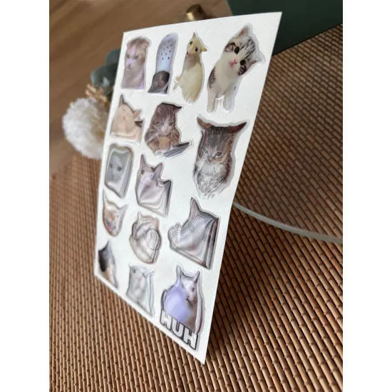 Kedi Premium 3D Görünümlü Göz Alıcı Parlak Kabartmalı Sticker Seti - Telefon Kılıfı Süsü, Etiket P1 Kedi Premium 3D Görünümlü Göz Alıcı Parlak Kabartmalı Sticker Seti - Telefon Kılıfı Süsü, Etiket P1