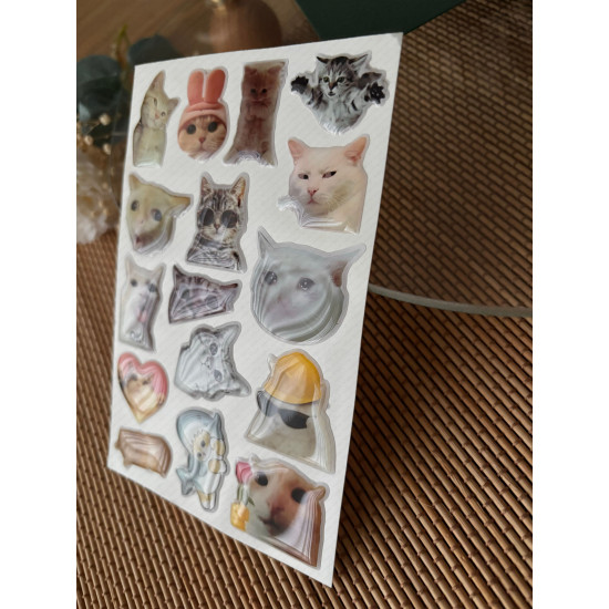 Kedi Premium 3D Görünümlü Göz Alıcı Parlak Kabartmalı Sticker Seti - Telefon Kılıfı Süsü, Etiket P2 Kedi Premium 3D Görünümlü Göz Alıcı Parlak Kabartmalı Sticker Seti - Telefon Kılıfı Süsü, Etiket P2