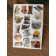 Kedi Premium 3D Görünümlü Göz Alıcı Parlak Kabartmalı Sticker Seti - Telefon Kılıfı Süsü, Etiket P2 Kedi Premium 3D Görünümlü Göz Alıcı Parlak Kabartmalı Sticker Seti - Telefon Kılıfı Süsü, Etiket P2