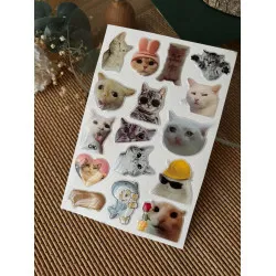 Kedi Premium 3D Görünümlü Göz Alıcı Parlak Kabartmalı Sticker Seti - Telefon Kılıfı Süsü, Etiket P2