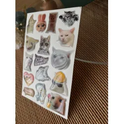 Kedi Premium 3D Görünümlü Göz Alıcı Parlak Kabartmalı Sticker Seti - Telefon Kılıfı Süsü, Etiket P2