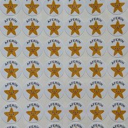 Öğretmenler İçin Uygun Aferin Yazılı Emoji Yıldız Etiket Sticker Seti Öğretmen 100 Adet 1.9 Cm P2