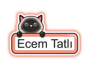 Okul Etiketi Modelleri | İsimli Defter ve Kitap Stickerları
