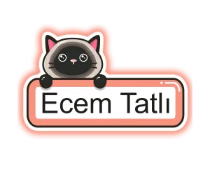 Okul Etiketi Modelleri | İsimli Defter ve Kitap Stickerları